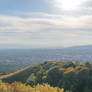  移住促進